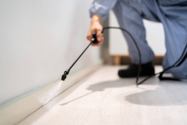 Professional Pest Control in Bourbon, MO